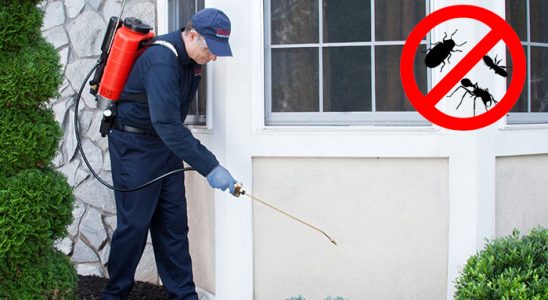Canik Tahtakurusu İlaçlama böcek ilaçlama ve haşere kontrolü — ilaclama-tr.com